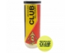 Dunlop Club All Court Tennis Balls