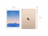 Apple iPad Air 2