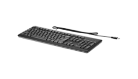 HP USB Keyboard for PC