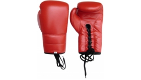 Boxing Gloves